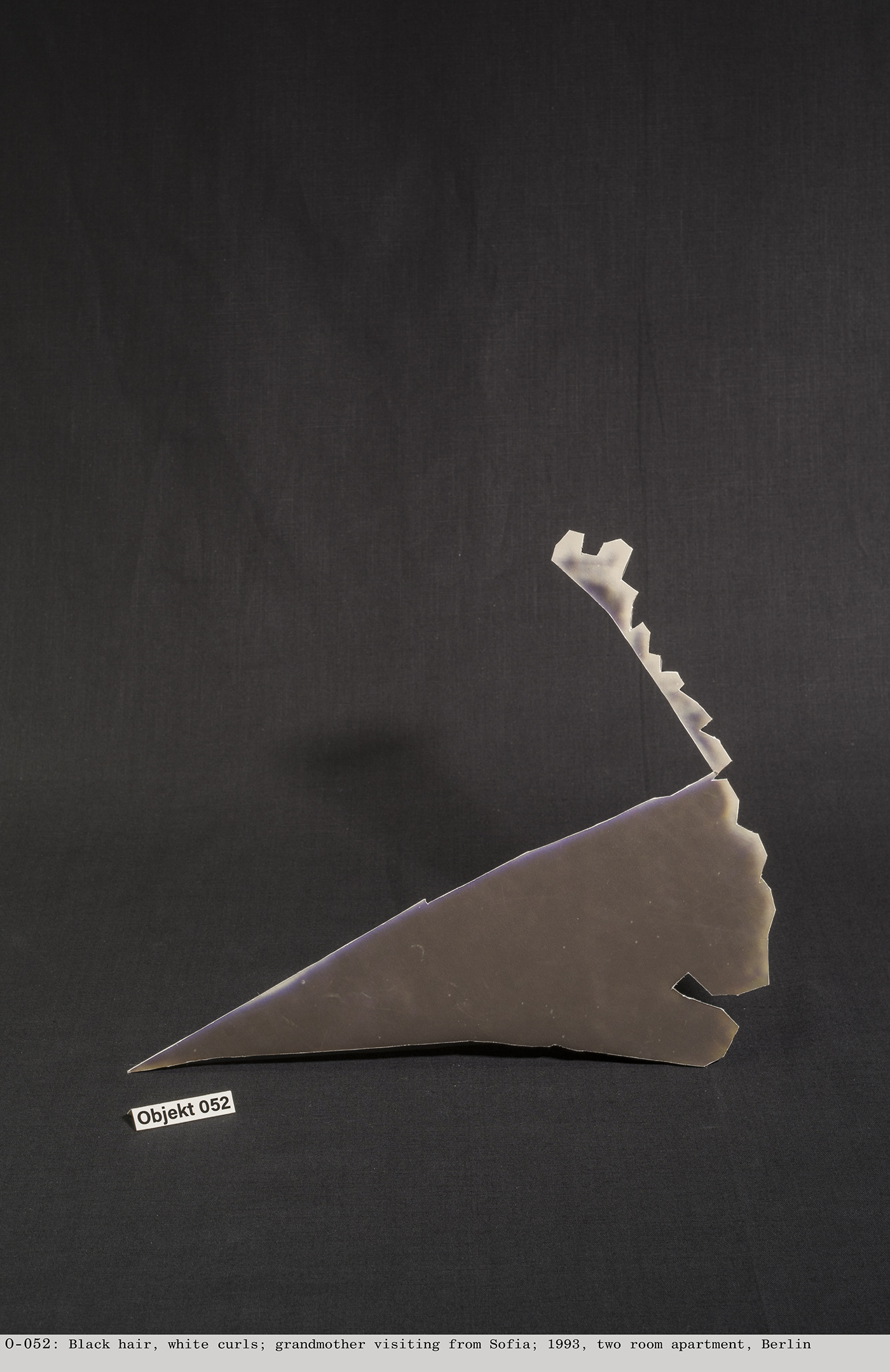 <p>2017-2025<br />
Forensic Excavations Inventory<br />
or The Total Deconstruction of an Armenian Family</p>
